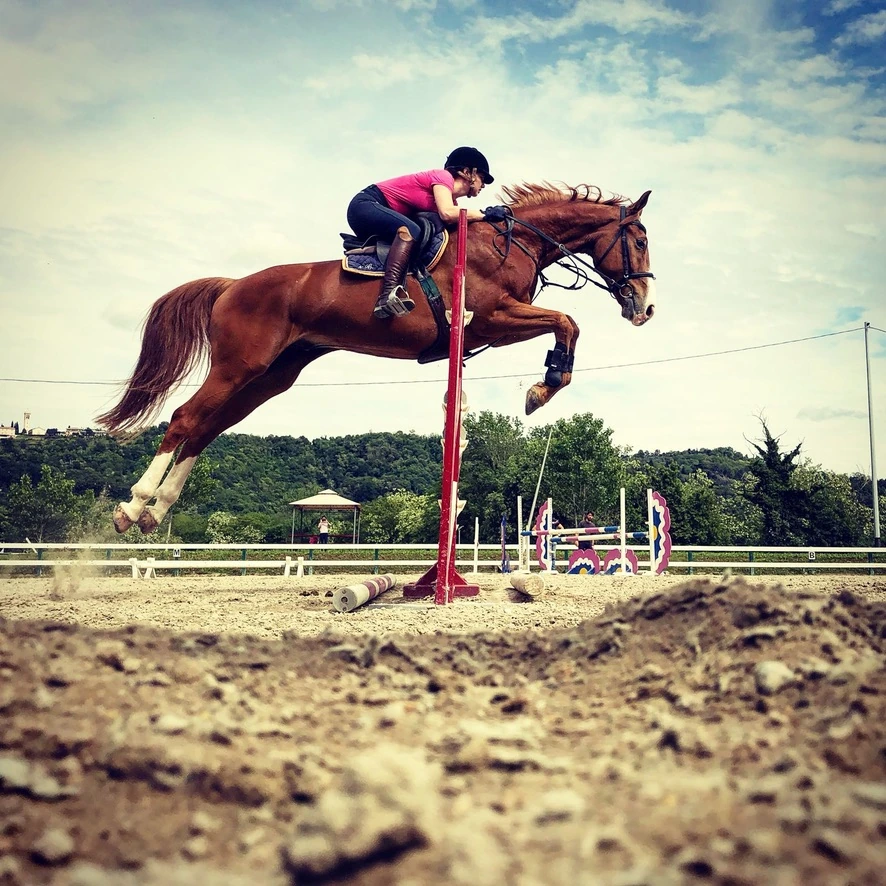 July and her horse clearing a show-jumping obstacle, photographed from a low angle beside the arena.